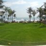 potatoes head bali