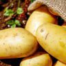 potatoes in their jackets