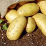 potatoes king edward