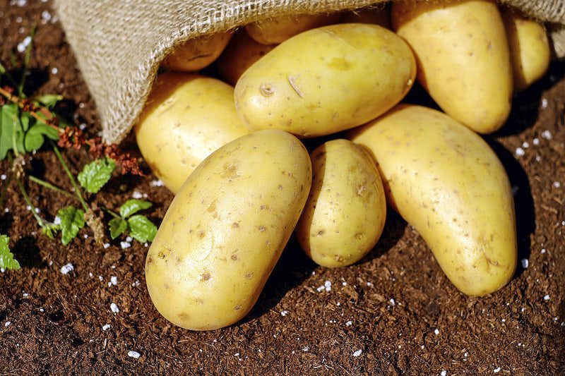 potatoes king edward