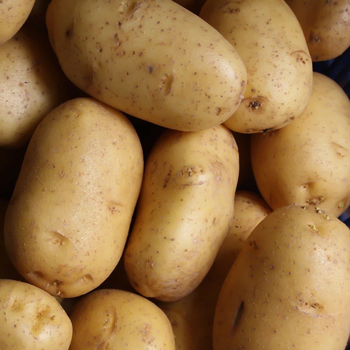 potatoes nutrition