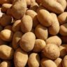 potatoes plural