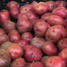 potatoes red