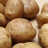 potatoes ricer
