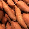 potatoes vs sweet potatoes