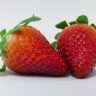 strawberries and cream lollies