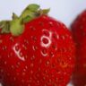 strawberries australia