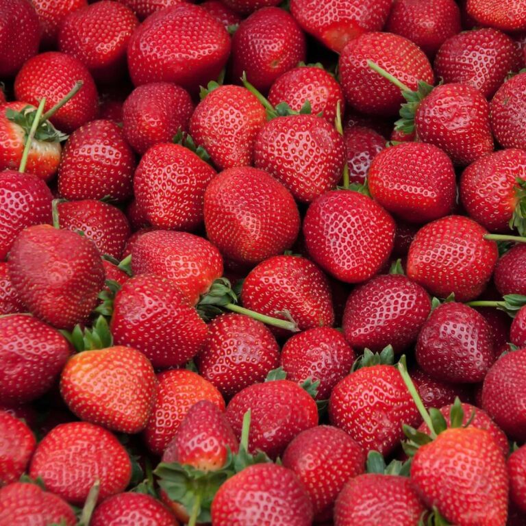 strawberries-calories-100g-auscrops-au