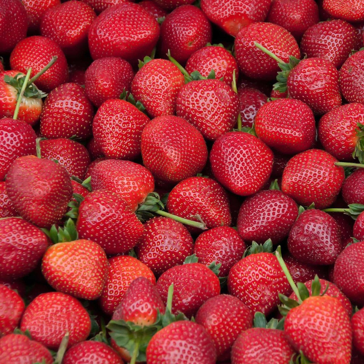 strawberries calories 100g