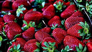 strawberries carbs