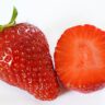 strawberries dna