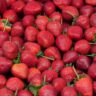 strawberries good for diabetics