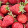 strawberries in french