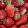 strawberries nutrients
