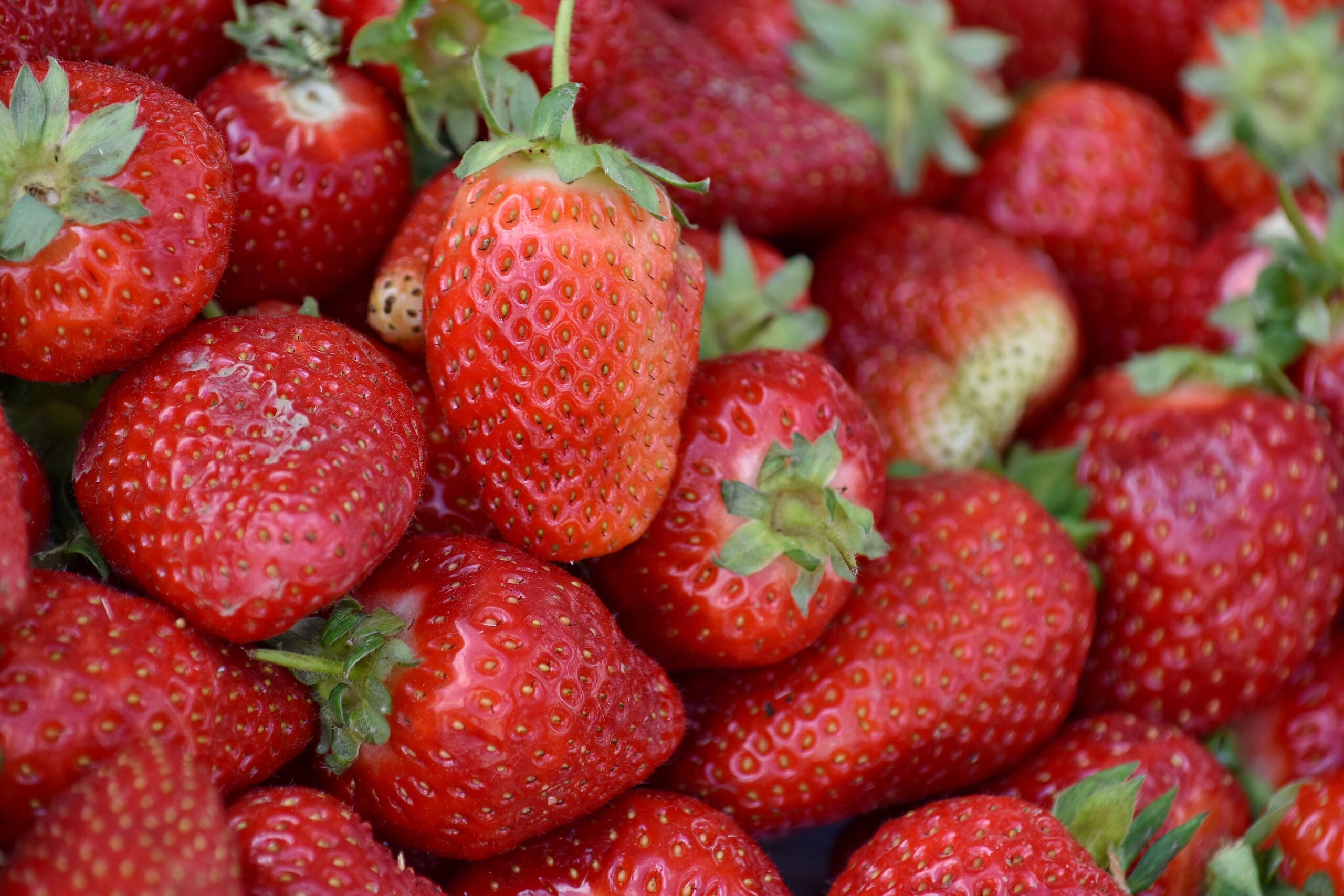strawberries nutrients