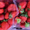 strawberries nutrition