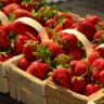 strawberries price