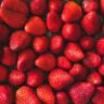 strawberries wallpaper